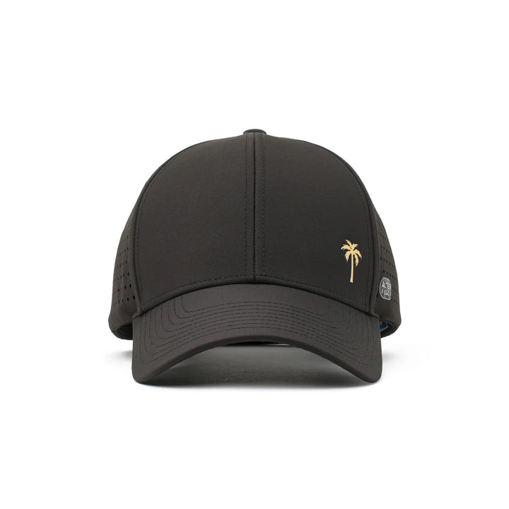 Trotter Splash Black Royal Palm